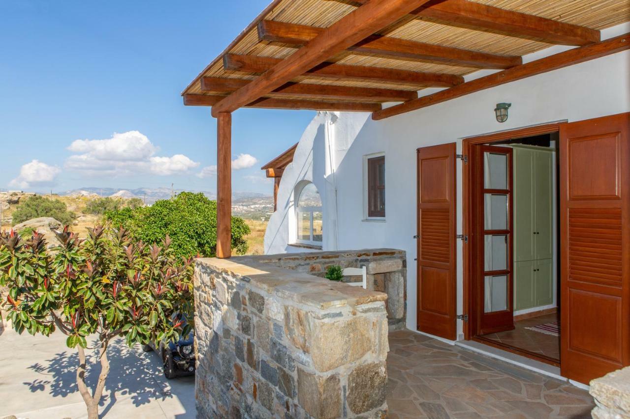 Thea Suites Naxos Агиос-Прокопиос Экстерьер фото